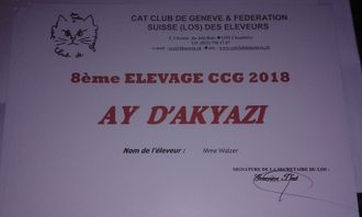 8 eme Meilleur élevage 2018 du Cat Club de Genève - Suisse